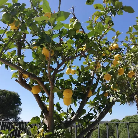 Galicia 度假居 滨海略雷特
